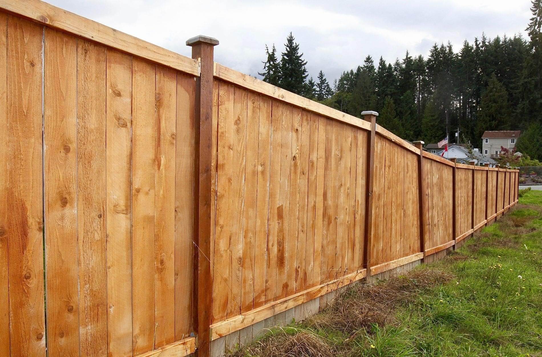Cedar Fences
