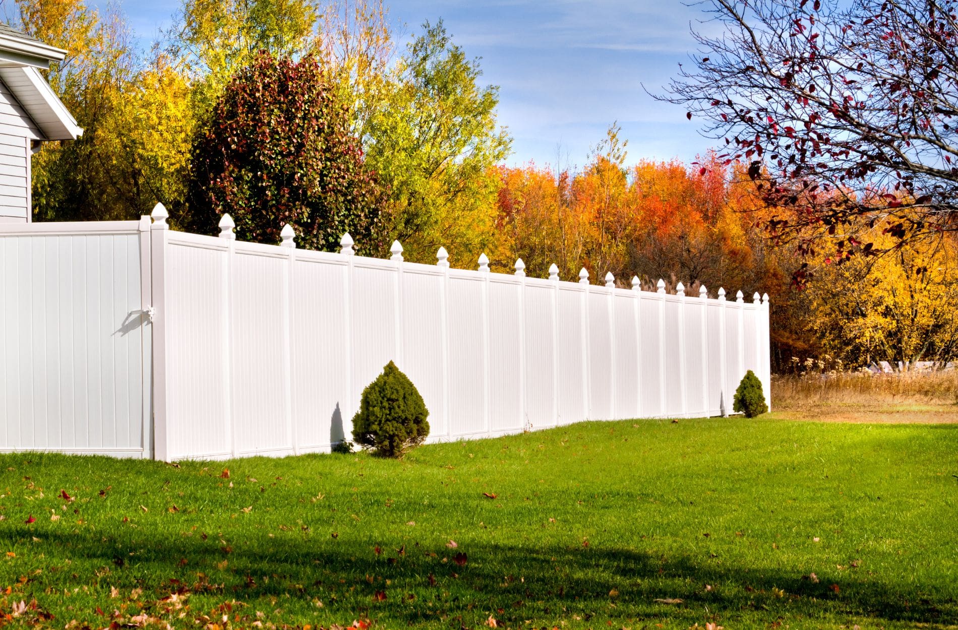 Vinyl Fence