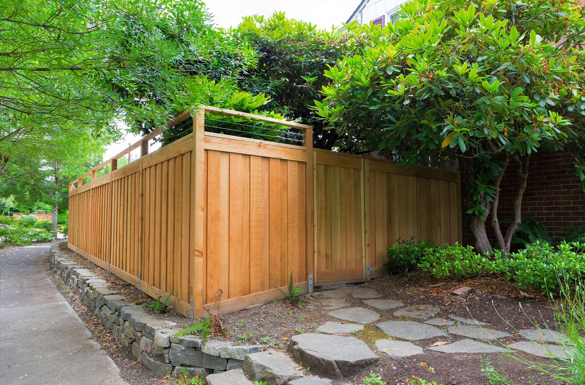 cedar fence