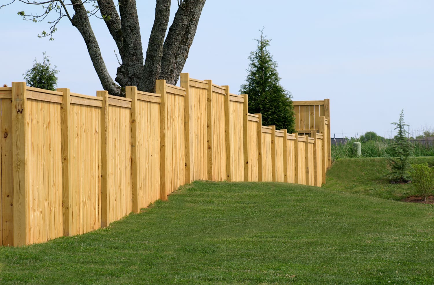 pine fence